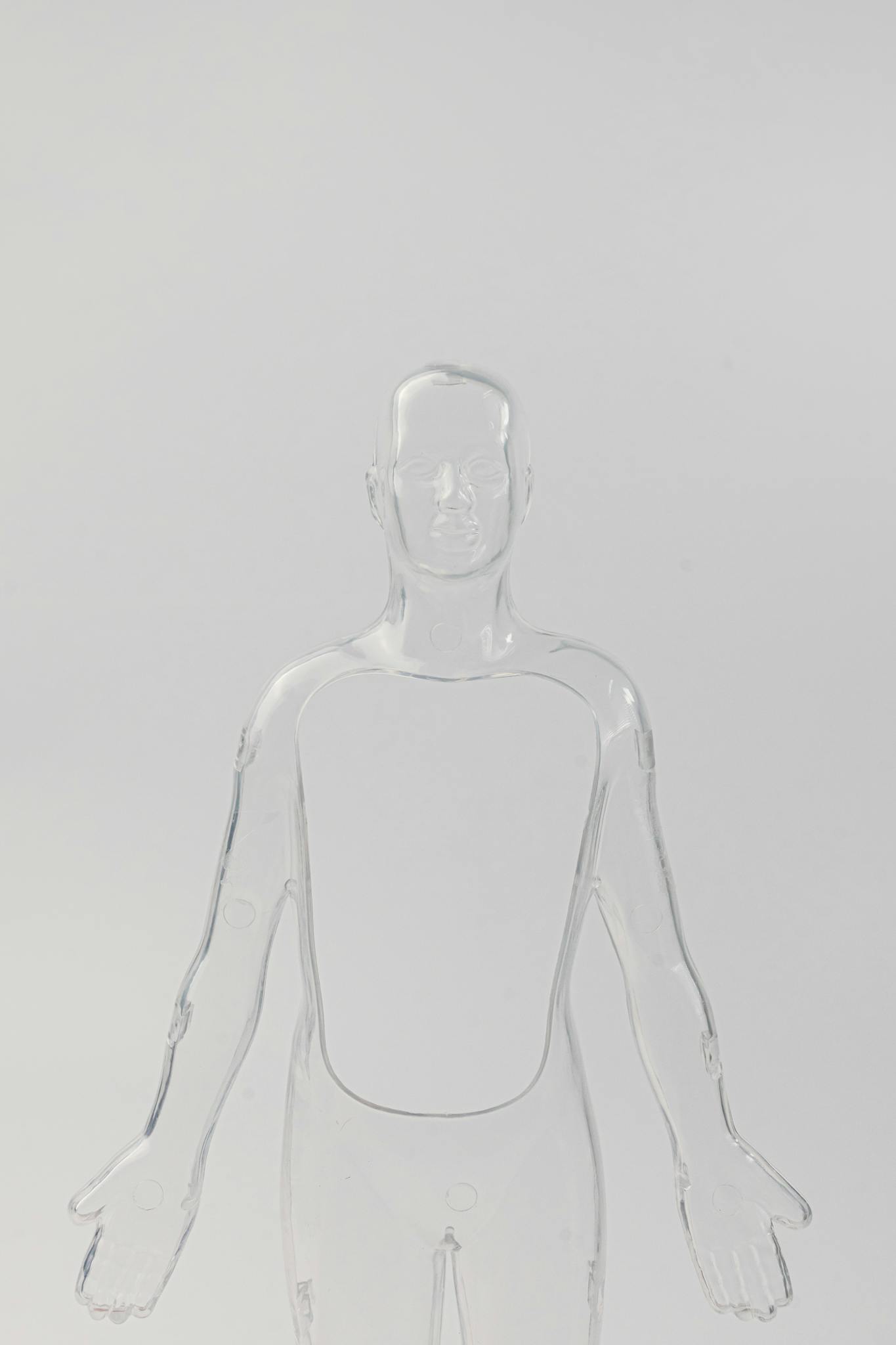 A transparent anatomical model showcasing human features, ideal for educational and medical use.